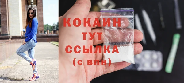 PSILOCYBIN Гусев