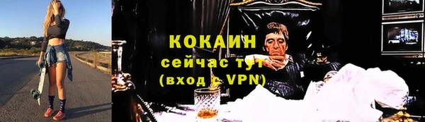 PSILOCYBIN Гусев