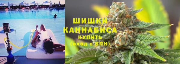 PSILOCYBIN Гусев
