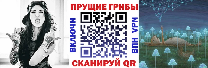 Купить где  Чусовой  Псилоцибиновые грибы мицелий 